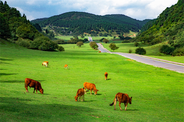 武隆秋日「頂配」周末計劃丨48小時漫游秘境 重慶籍Pass僅59.9元無限次入園！